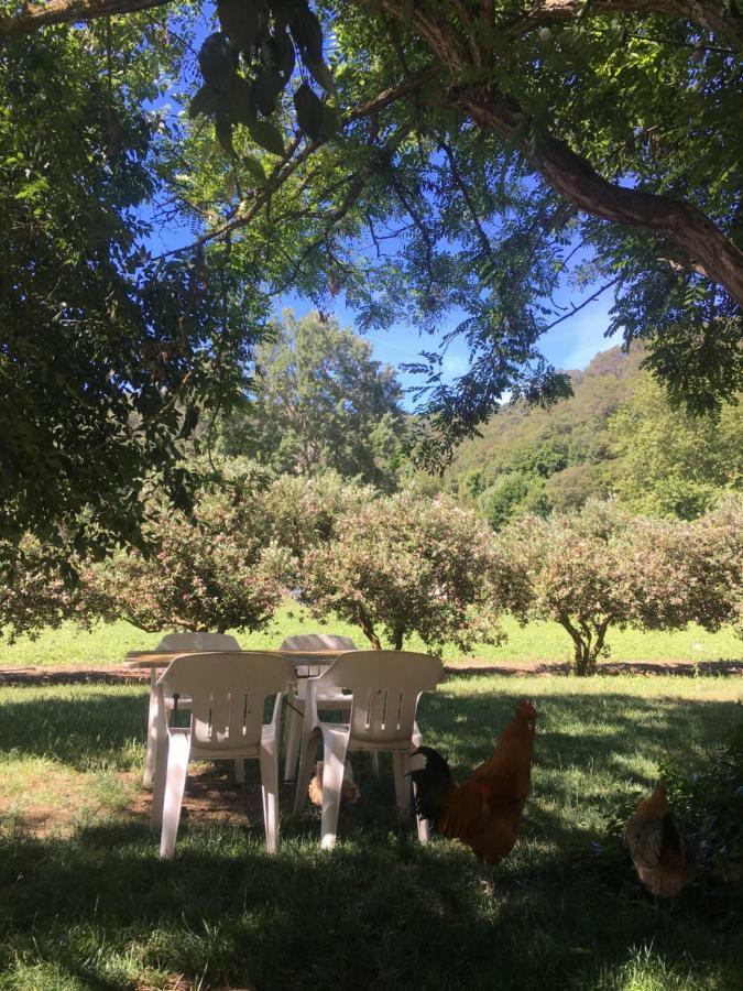 Masia Can Ninot Santa Susanna Dış mekan fotoğraf