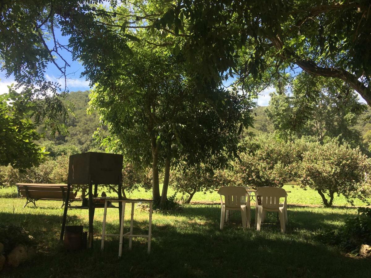 Masia Can Ninot Santa Susanna Dış mekan fotoğraf